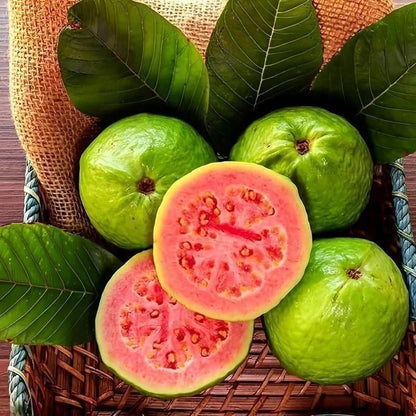 Organic Guava Seeds (Free Pot Mixture 100 gm)